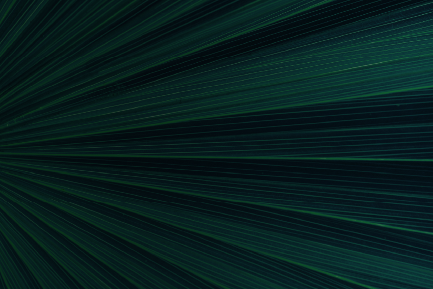 2026 Working Capital Purchase Price Adjustment Study